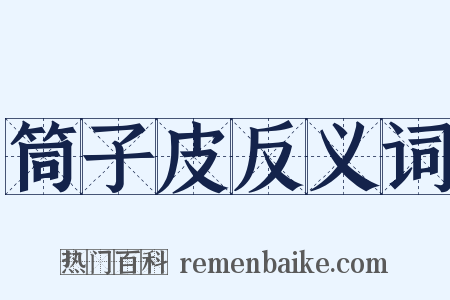 筒子皮反义词是什么意思的图片